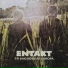 Entakt