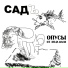 СадЪ