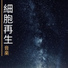記憶力ＵＰ