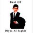 Diyaa Al Saghir