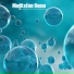 Asian Meditation Music Collective