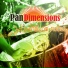 Pan Dimensions