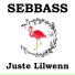 SEBBASS