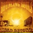 The Bouncing Souls [http: musvkontakte.ru]