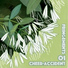 Cheer-Accident