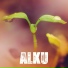 Alku