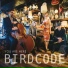 Birdcode feat. Tom Cleary, Amber Delaurentis