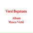 Viorel Bogateanu