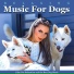 Dog Music