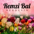Remzi Bal