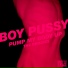 Boy Pussy