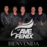 Ave Fénix