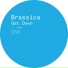 Brassica