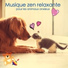 Musique zen nature