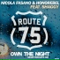 Nicola Fasano, Honorebel, Shaggy