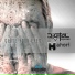 Digital Impulse