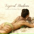 Tropical Chill Music Land