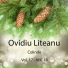 Ovidiu Liteanu