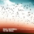 Paul Morrell feat. Mary Kiani