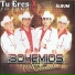 Los Bohemios de Sinaloa