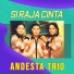 Andesta Trio
