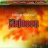 Saleem Shahzad