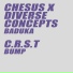 Chesus & Diverse Concepts