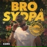 Bro feat. Koppel Og Skov