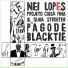 Guga Stroeter, Nei Lopes, Projeto Coisa Fina