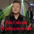 Puiu Codreanu
