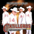 Gatilleros De Culiacan