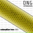DNG