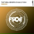 The Thrillseekers & M.I.K.E. Push
