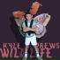 Kyle Andrews