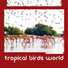 Calm Singing Birds Zone