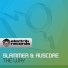 Slammer & Auscore
