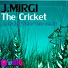 J. Mirgi