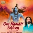 Brijesh Shandilya