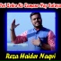 Reza Haider Naqvi