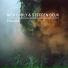 Nick Curly, Steffen Deux