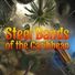 Kendon Charles' Trinidad Steel Band