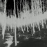 Selm
