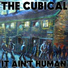THE CUBICAL