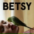 BETSY