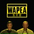 Wapea
