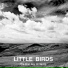 Little Birds