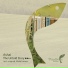 Wave Sound (Guest Mix Arctic Light)