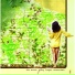 The Acorn