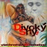 Divoky Sny Mf