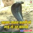Hemraj Saini